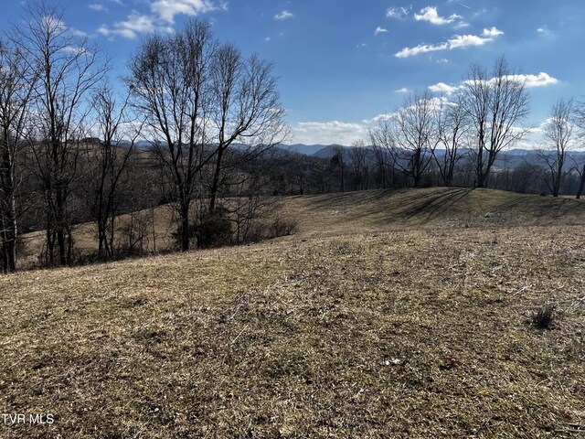 14251 Nickelsville Hwy, Nickelsville, VA 24271 - photo 9