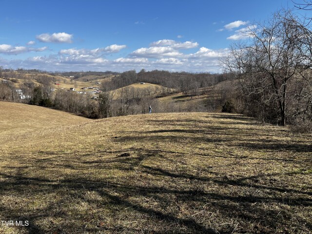 14251 Nickelsville Hwy, Nickelsville, VA 24271 - photo 10