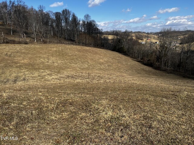 14251 Nickelsville Hwy, Nickelsville, VA 24271 - photo 11
