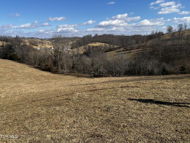 14251 Nickelsville Hwy, Nickelsville, VA 24271 - photo 12