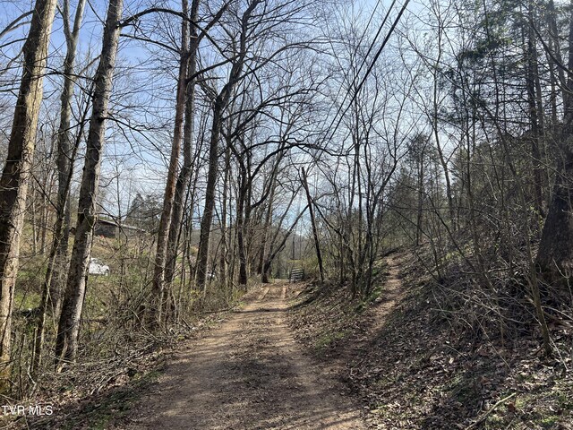 14251 Nickelsville Hwy, Nickelsville, VA 24271 - photo 13