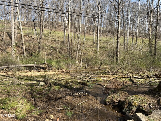 14251 Nickelsville Hwy, Nickelsville, VA 24271 - photo 14