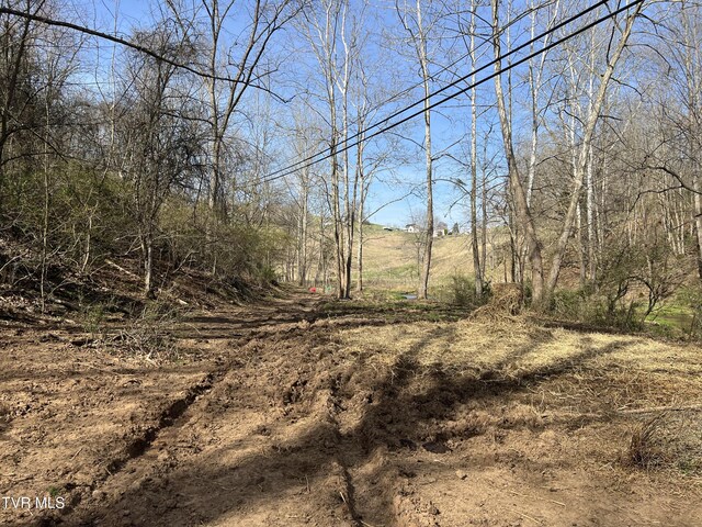 14251 Nickelsville Hwy, Nickelsville, VA 24271 - photo 16