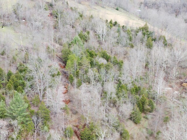 14251 Nickelsville Hwy, Nickelsville, VA 24271 - photo 17