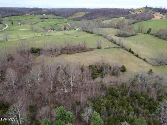 14251 Nickelsville Hwy, Nickelsville, VA 24271 - photo 20