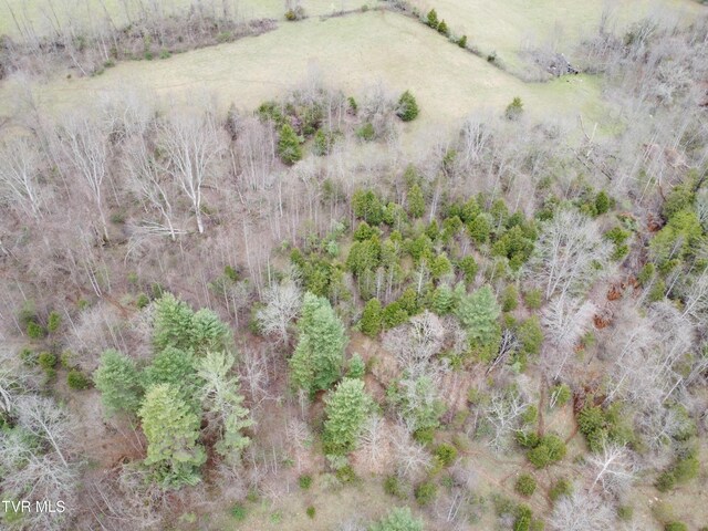 14251 Nickelsville Hwy, Nickelsville, VA 24271 - photo 22