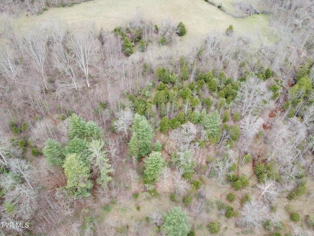 14251 Nickelsville Hwy, Nickelsville, VA 24271 - photo 23