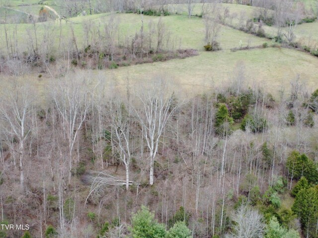 14251 Nickelsville Hwy, Nickelsville, VA 24271 - photo 31