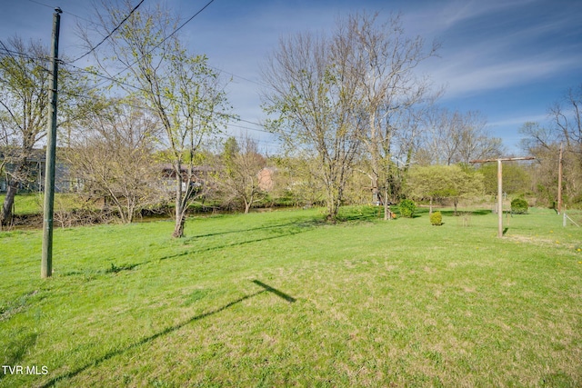 533 Sequoyah Dr, Kingsport, TN 37660 - view of yard