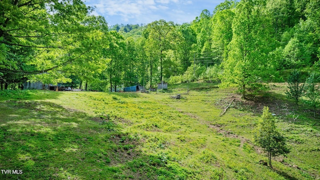 view of yard with a view of trees