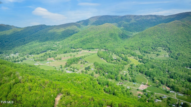 property view of mountains with a wooded view