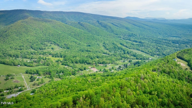 bird's eye view with a mountain view and a forest view