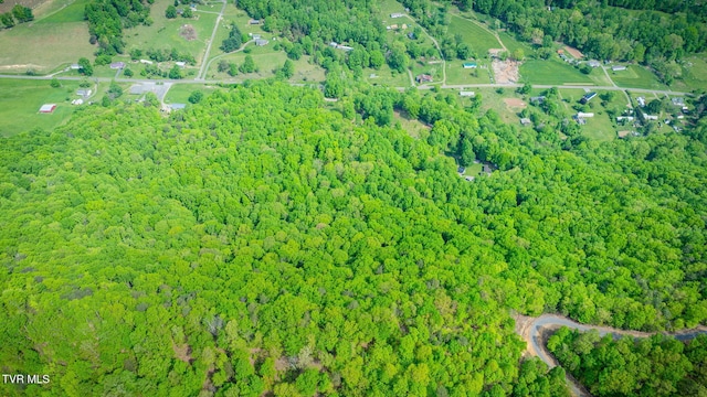 aerial view featuring a forest view