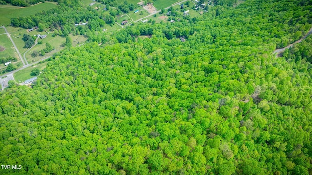 bird's eye view with a view of trees