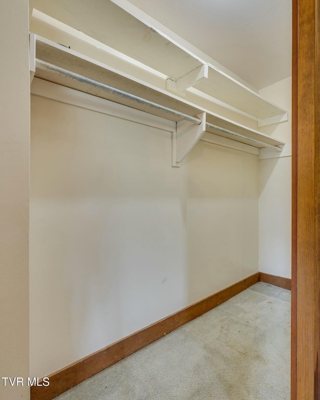 walk in closet featuring carpet floors