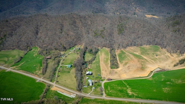bird's eye view with a view of trees