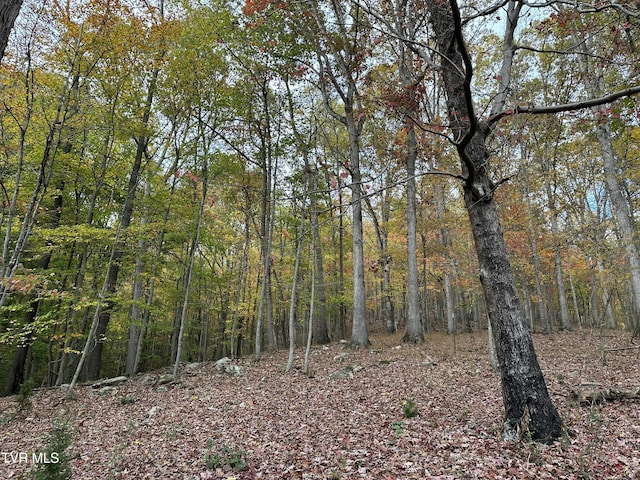view of nature featuring a wooded view