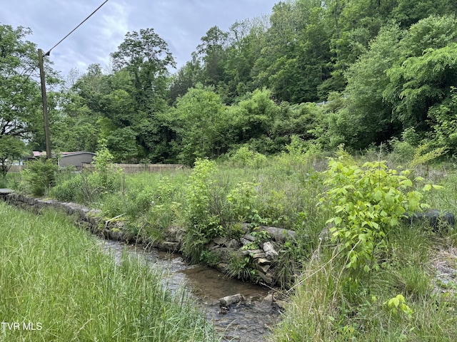 603 Town Branch Rd, Jonesville, VA 24263