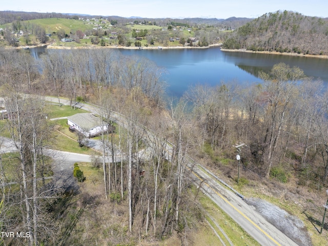 23324 Denton Valley Rd, Abingdon, VA 24211 - drone / aerial view with a water view