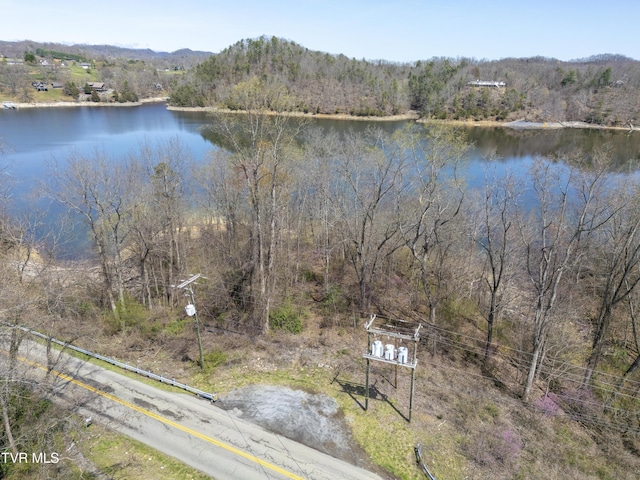 23324 Denton Valley Rd, Abingdon, VA 24211 - water view with a view of trees