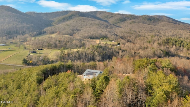 mountain view featuring a wooded view