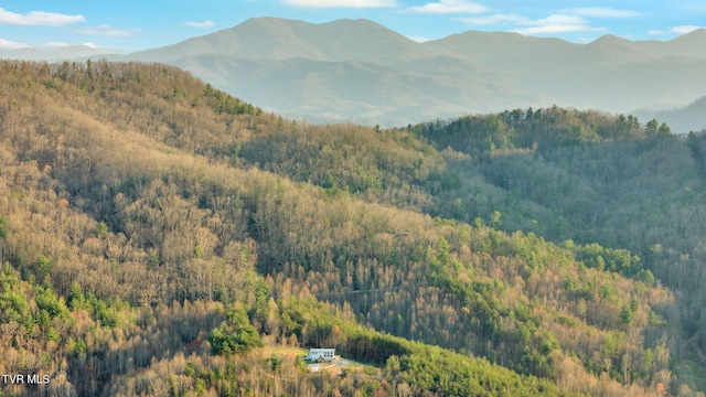 property view of mountains with a forest view