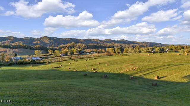 1056 White Top Rd, Bluff City, TN 37618
