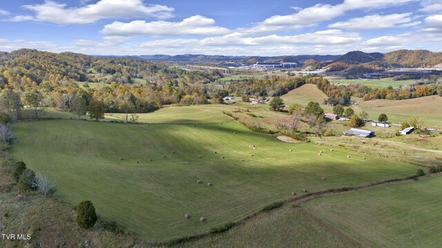 1056 White Top Rd, Bluff City, TN 37618