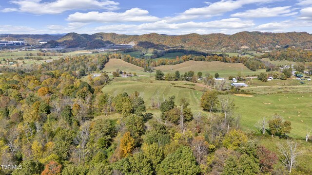 1056 White Top Rd, Bluff City, TN 37618