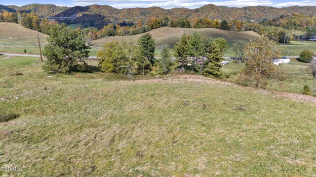 1056 White Top Rd, Bluff City, TN 37618