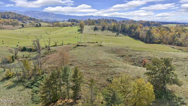 1056 White Top Rd, Bluff City, TN 37618