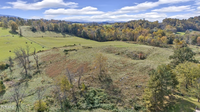 1056 White Top Rd, Bluff City, TN 37618