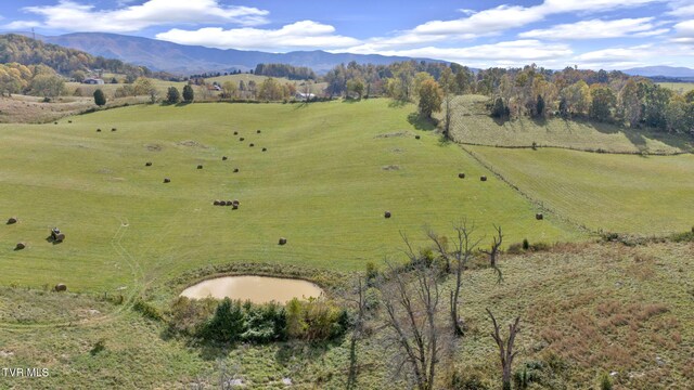 1056 White Top Rd, Bluff City, TN 37618