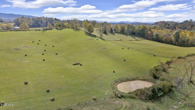 1056 White Top Rd, Bluff City, TN 37618