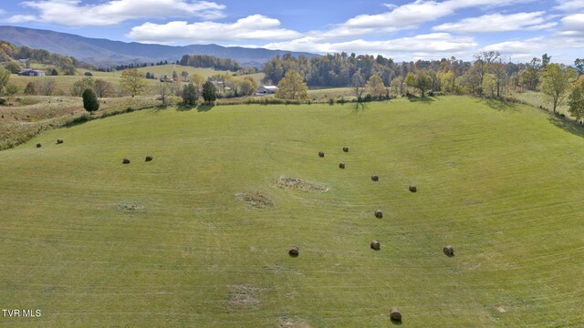 1056 White Top Rd, Bluff City, TN 37618
