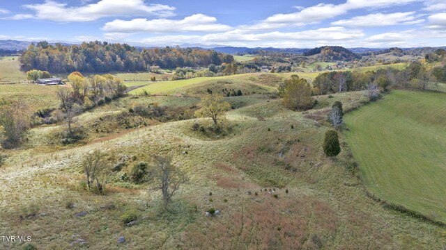 1056 White Top Rd, Bluff City, TN 37618