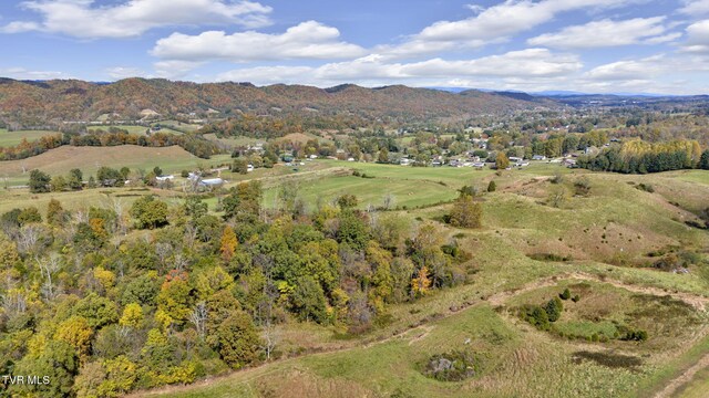 1056 White Top Rd, Bluff City, TN 37618