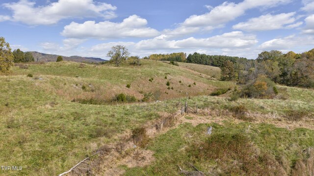 1056 White Top Rd, Bluff City, TN 37618