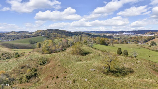 1056 White Top Rd, Bluff City, TN 37618