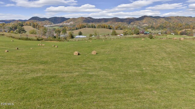 1056 White Top Rd, Bluff City, TN 37618