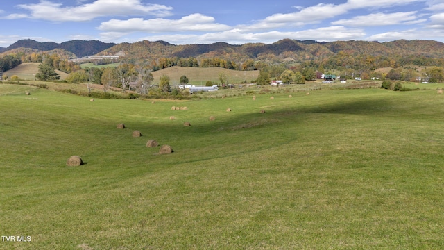 1056 White Top Rd, Bluff City, TN 37618