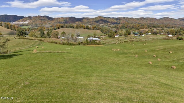 1056 White Top Rd, Bluff City, TN 37618