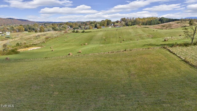 1056 White Top Rd, Bluff City, TN 37618
