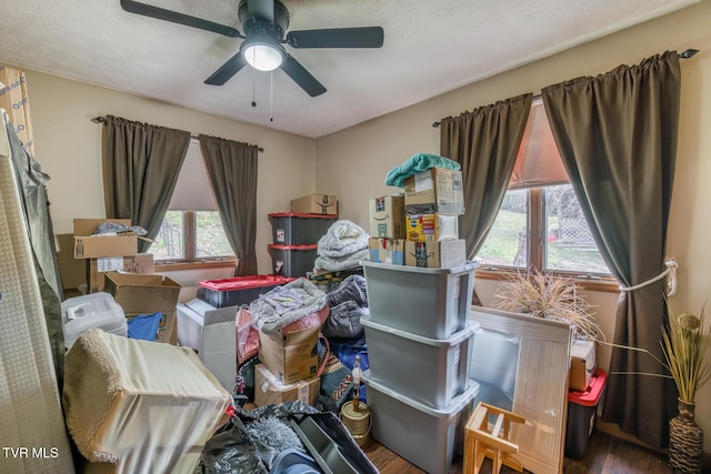 bedroom featuring wood finished floors and a ceiling fan