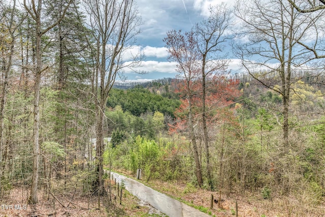 exterior space with a wooded view