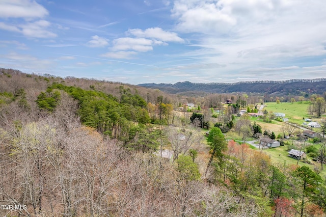 mountain view with a wooded view