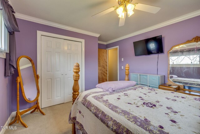 441 Merman Rd, Kingsport, TN 37663 - photo 15
