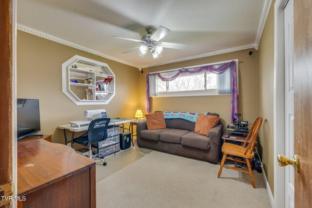 441 Merman Rd, Kingsport, TN 37663 - photo 17