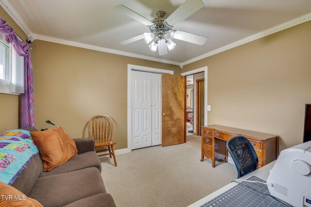 441 Merman Rd, Kingsport, TN 37663 - photo 18