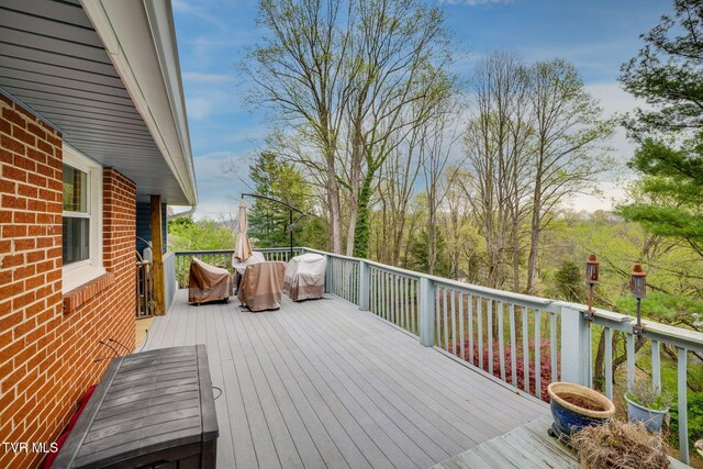 441 Merman Rd, Kingsport, TN 37663 - photo 25